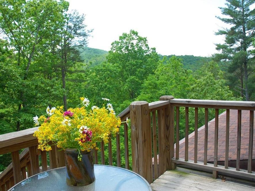 Long Mountain Lodge Bed & Breakfast Dahlonega Cameră foto