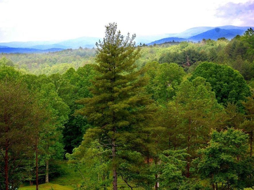 Long Mountain Lodge Bed & Breakfast Dahlonega Cameră foto